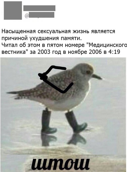 Картинки для поднятия настроения