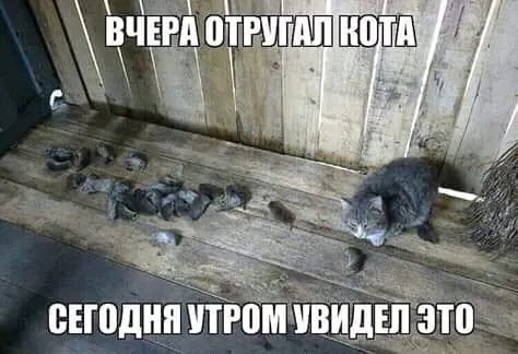 Маленькие охотники