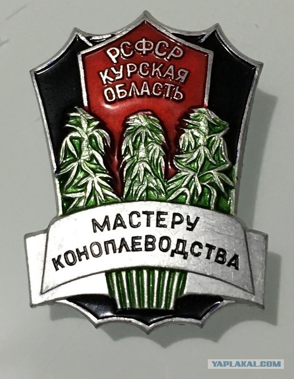 Значок советский с коноплей марихуану вывести