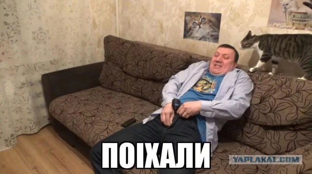 Девушки для тонуса!