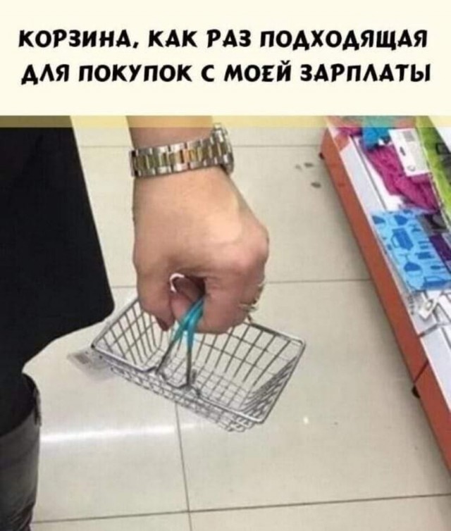 Забавные и веселые картинки