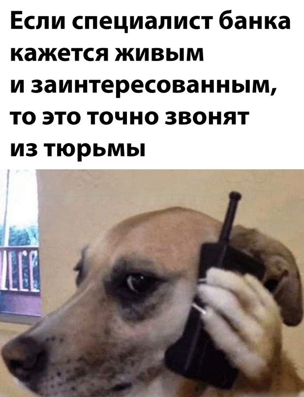 Немного картинок для настроения - 133
