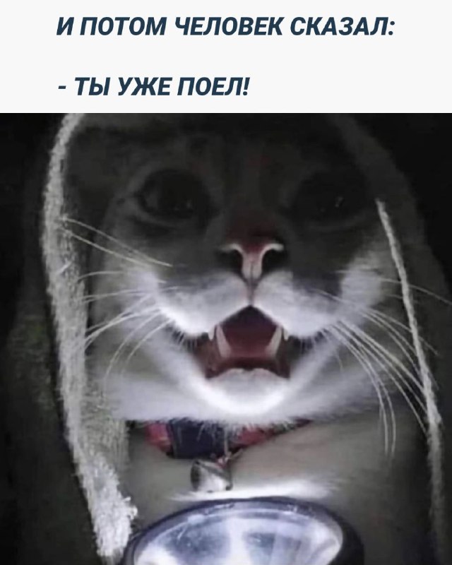 Картинки и мемы, всем хороших выходных