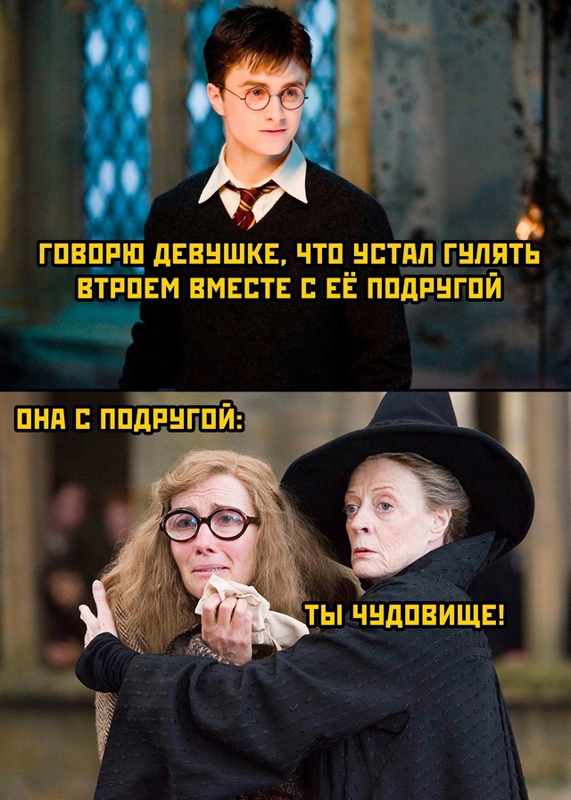 Весёлый полтишок 06.11.24