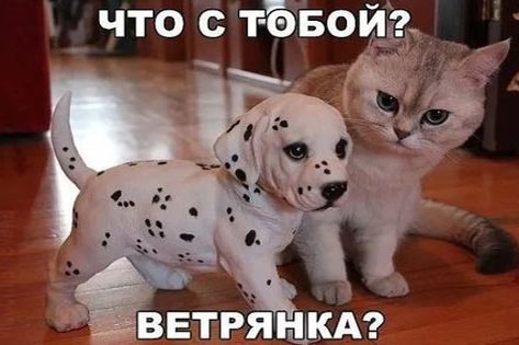 Так себе картинки 11.11.24
