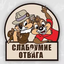 Смелый голубь пытается подкатить к соколихе