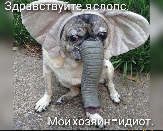 Песенка слонёнка