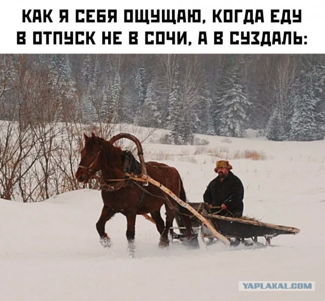 Так себе картинки 02.02.25