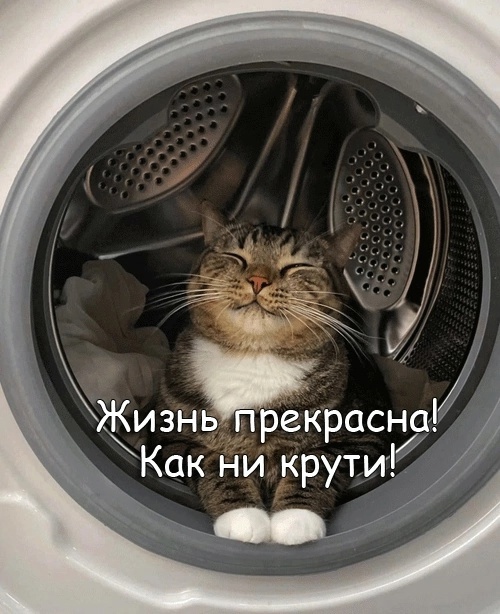 Так себе картинки 11.02.25