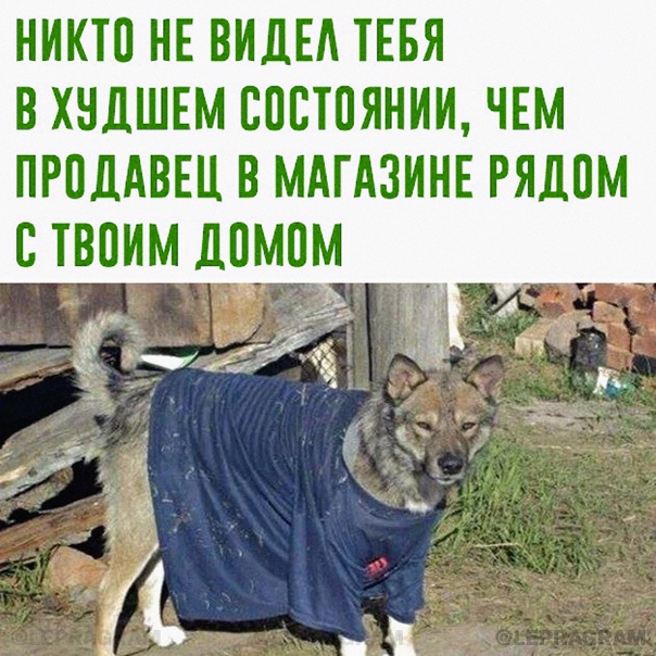 Картинки для деградации-4 (разной степени свежести)