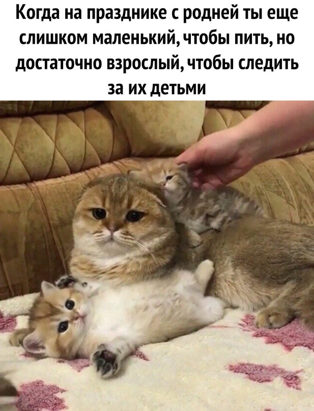 Картинки для деградации 9 (разной степени свежести)
