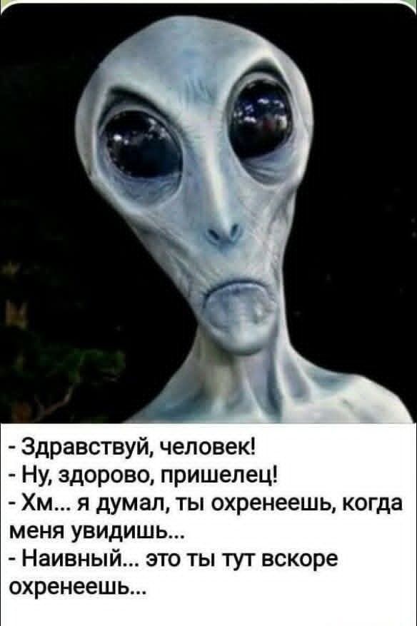 Маленькая пятница 26.11