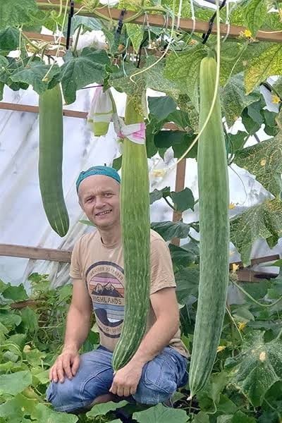 Все в сборе