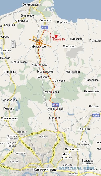 Городецкое гульбище 2009