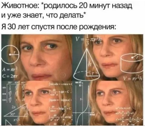 Картиночки, баянчики 19 марта