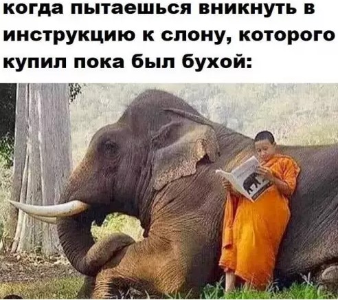 Картиночки, баянчики 23 марта