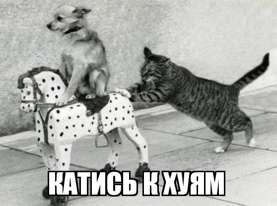 Пришёл солдат с фронта