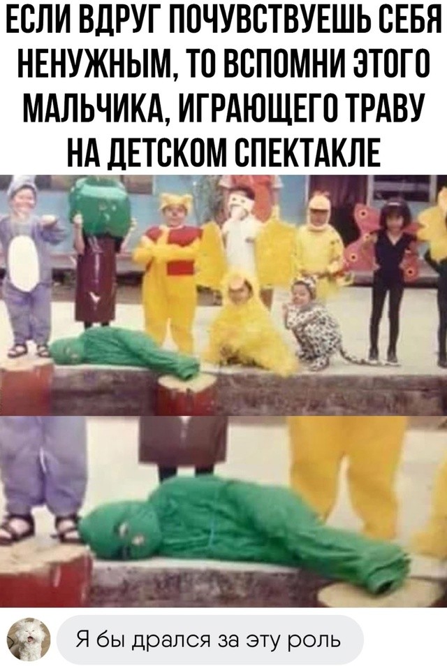 Картинки для деградации 288 (разной степени свежести)