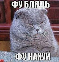 В Петербурге мужчина после развода вынес из квартиры бывшей жены почти всю кухню