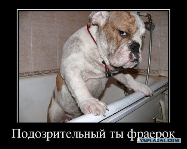 Сирия просится в Таможенный союз