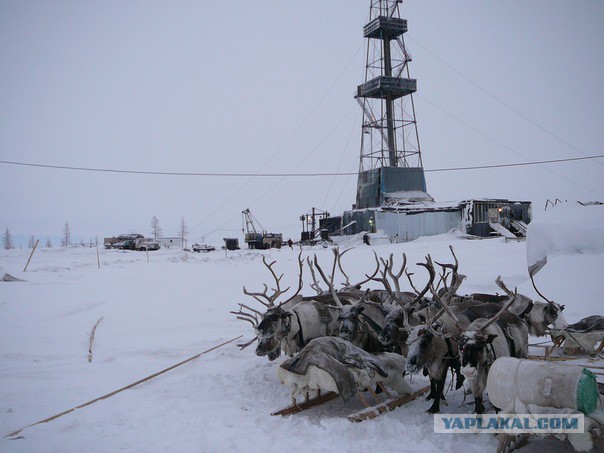 Трасса Нижневартовск-Сургут в -40 градусов