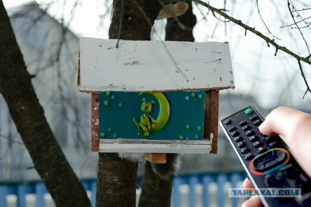 Фигасе воробушек!