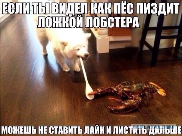 И снова смешные комментарии