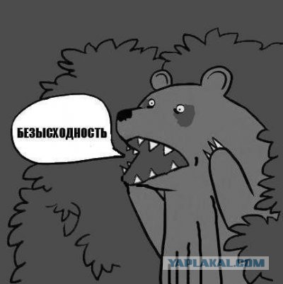 Медведи почти на все случаи жизни