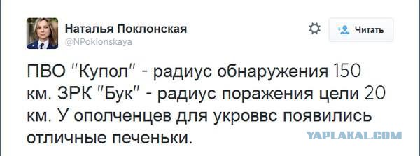 На Украине рухнул Боинг-777 малайзийских авиалиний