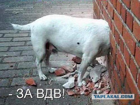 Подборка картинок