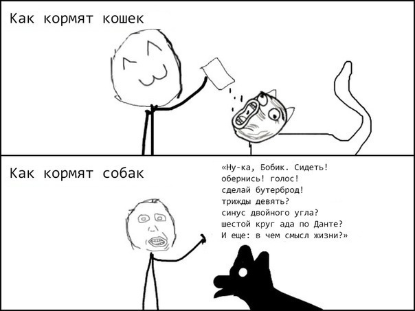 Подборка весёлых картинок