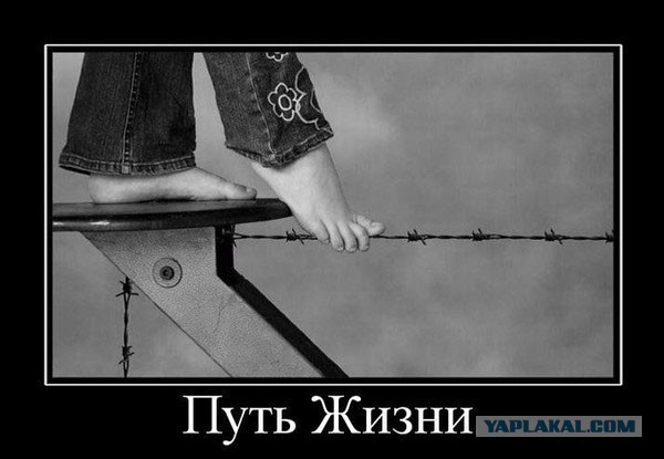 Давно демотиваторов не было