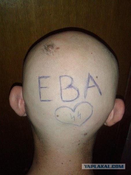 Вестник соцсетей