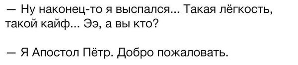 Забавные картинки из интернетов