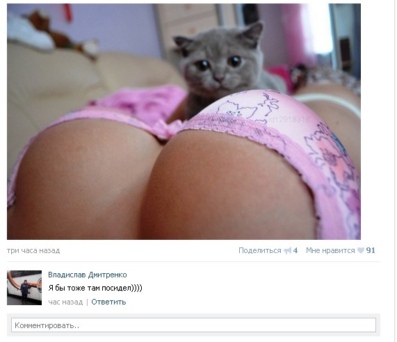 Ужасы и приколы из соцсетей 18+
