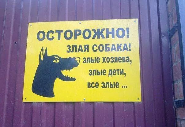 Злые киски