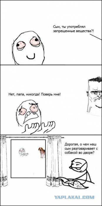 Прикольные картинки из сети
