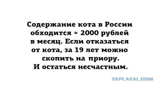 Смешные комментарии из сети на 30.10.2015