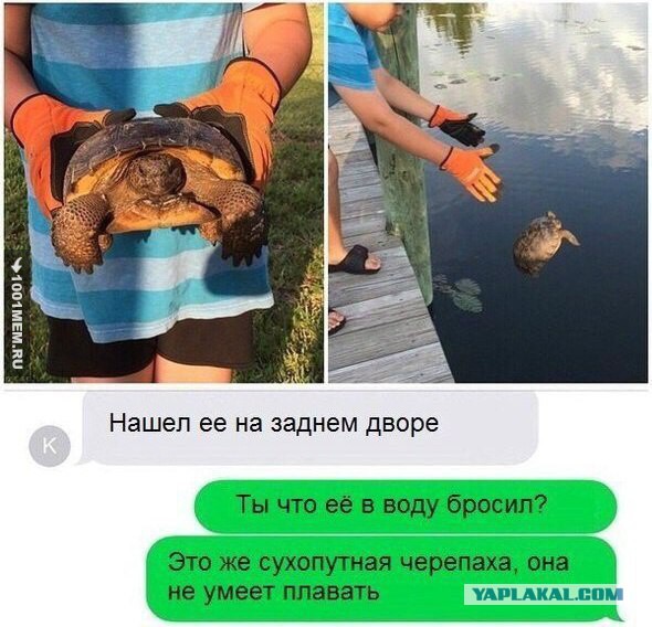 Смешные комментарии из социальных сетей