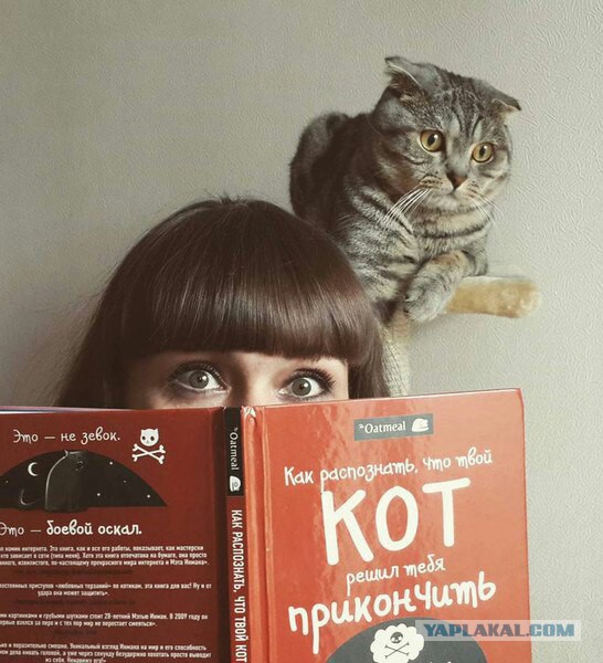 Забавные картинки из Сети