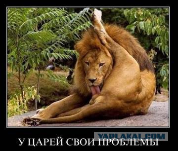 Суровые спички фрезеровцика