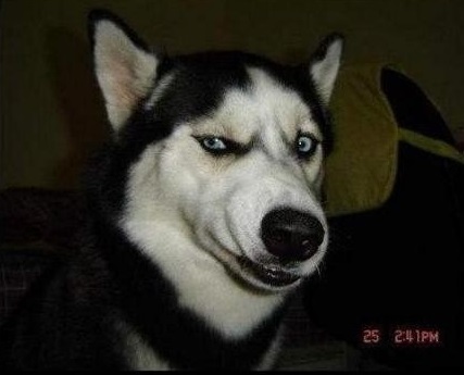 Устрашающий танец норвежских военных