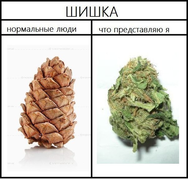 Подслушано