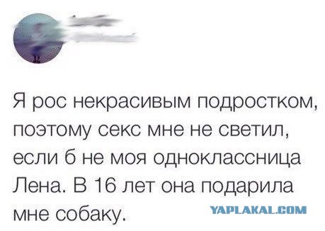 Смешные комментарии из социальных сетей 04.08.2017
