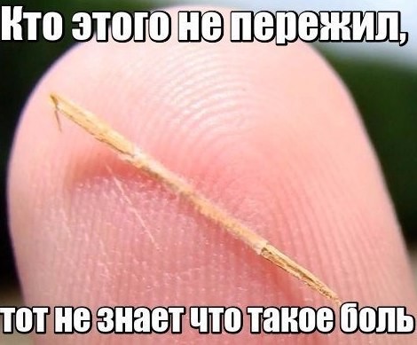 Весёлые картинки