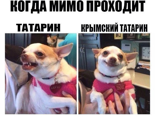 Воскресная деградация - залог успешной рабочей недели!