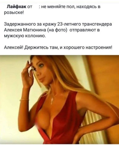 Скотсети и прочие интернеты 22.01.18