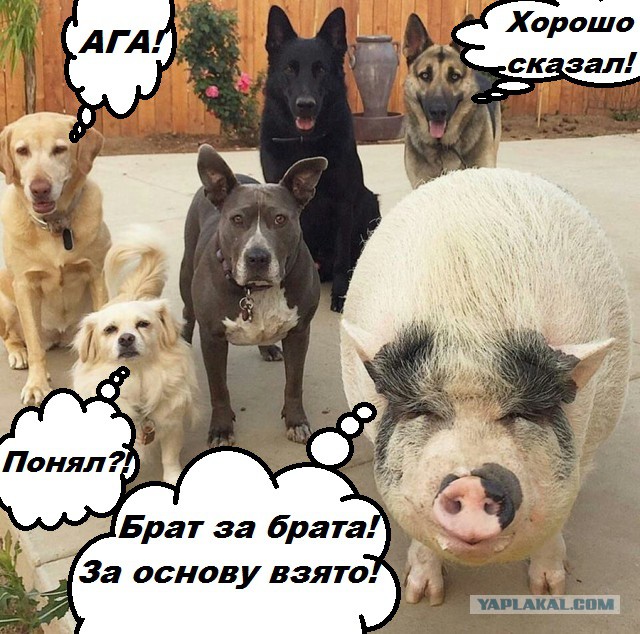 Подборка интересных и веселых картинок