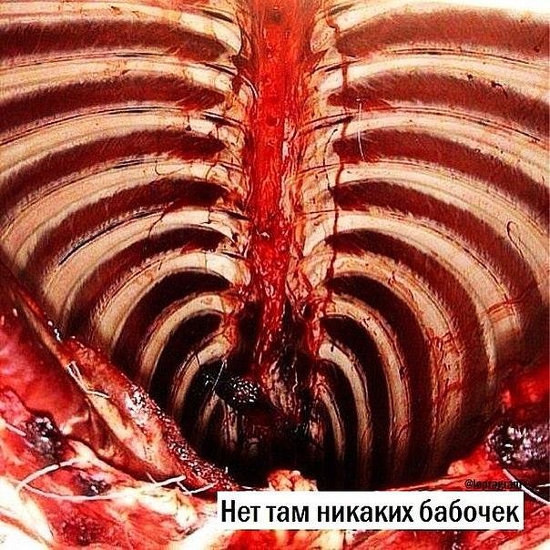 Околомедицинскую деградацию заказывали? Нет? А придётся!