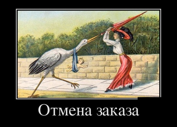 Немного веселых картинок из этих наших интернетов
